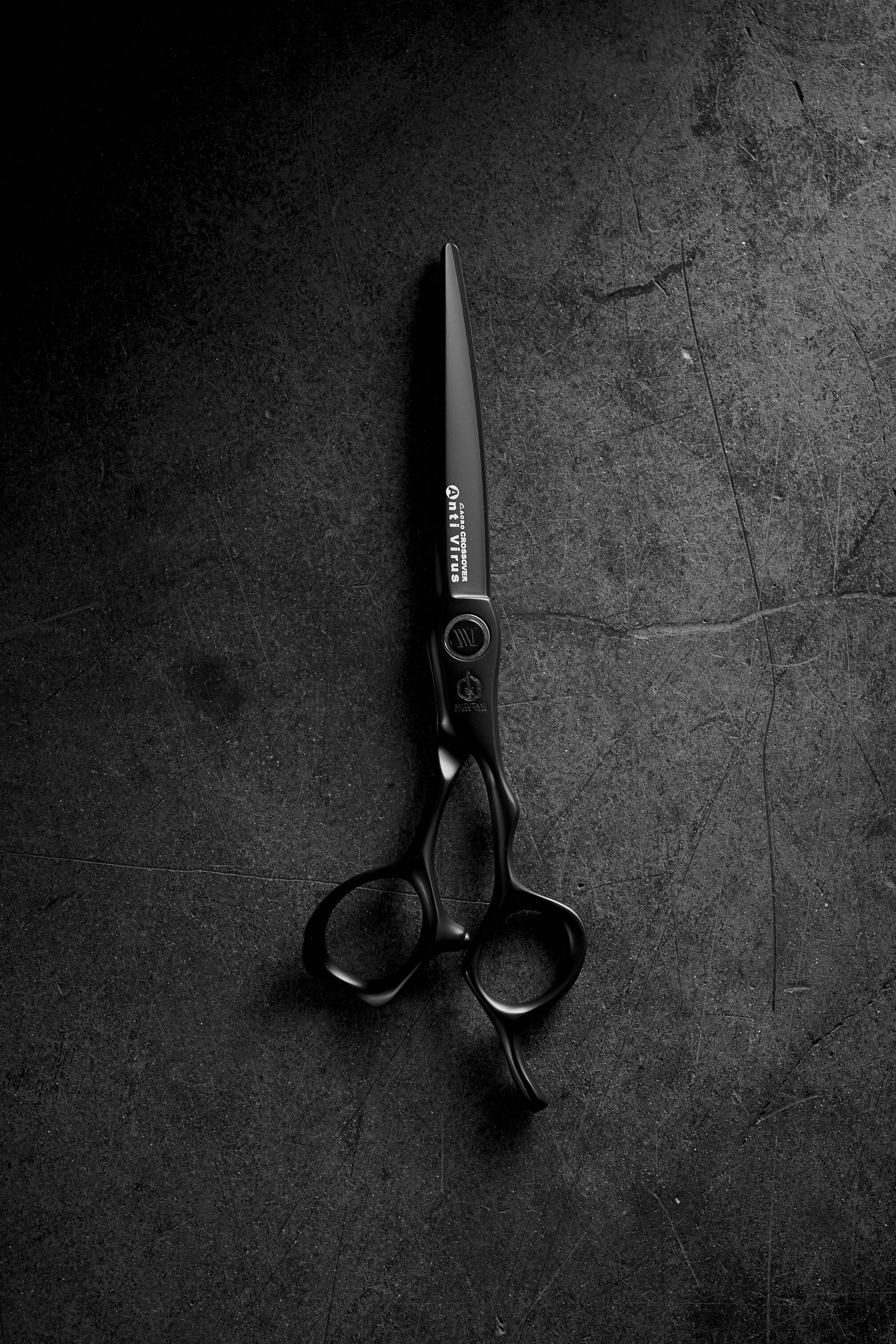 WVM X MIZUTANI — Whitney VerMeer